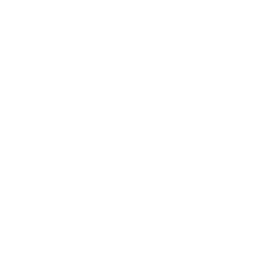 Critical Coin.png