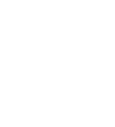 Energy Shield.png